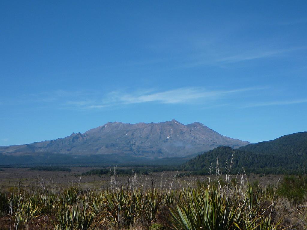 New_Zealand (836).JPG